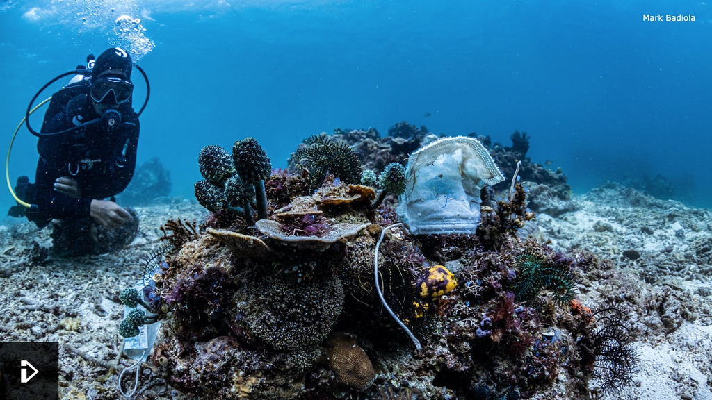 Underwater photo of a single-use face mask