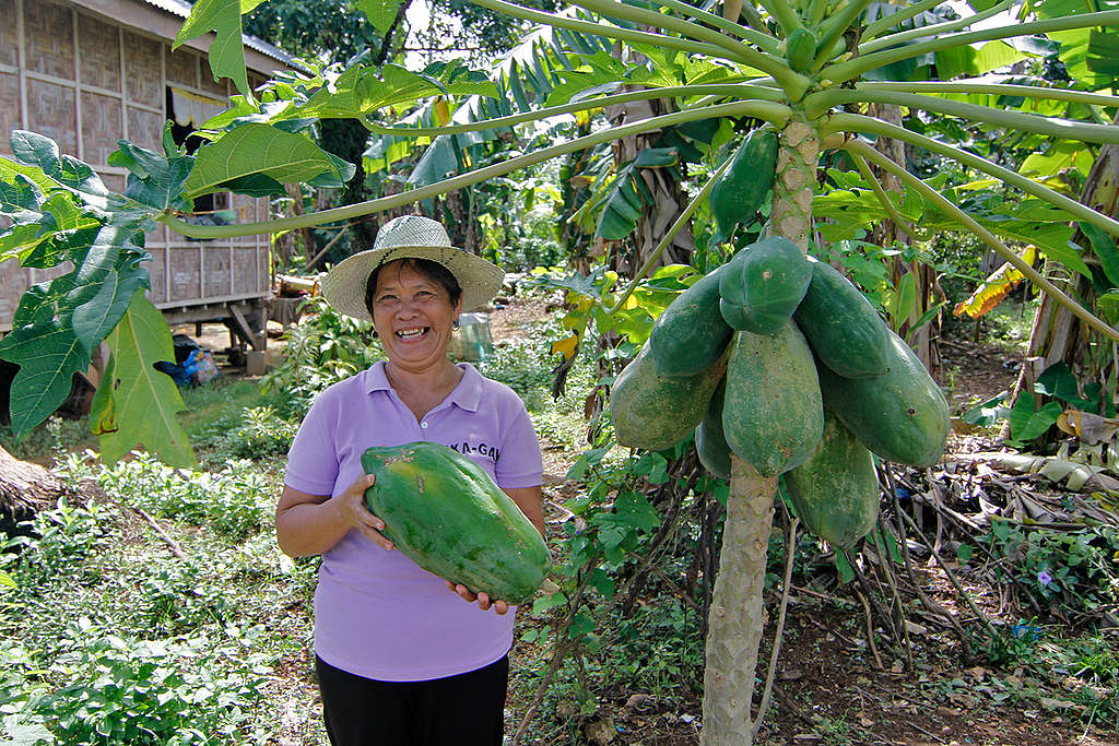 Ecological Farmers Women Association in East Samar. © Vincent Go / Greenpeace Ecological Farmers Women Association in East Samar. © Vincent Go / Greenpeace