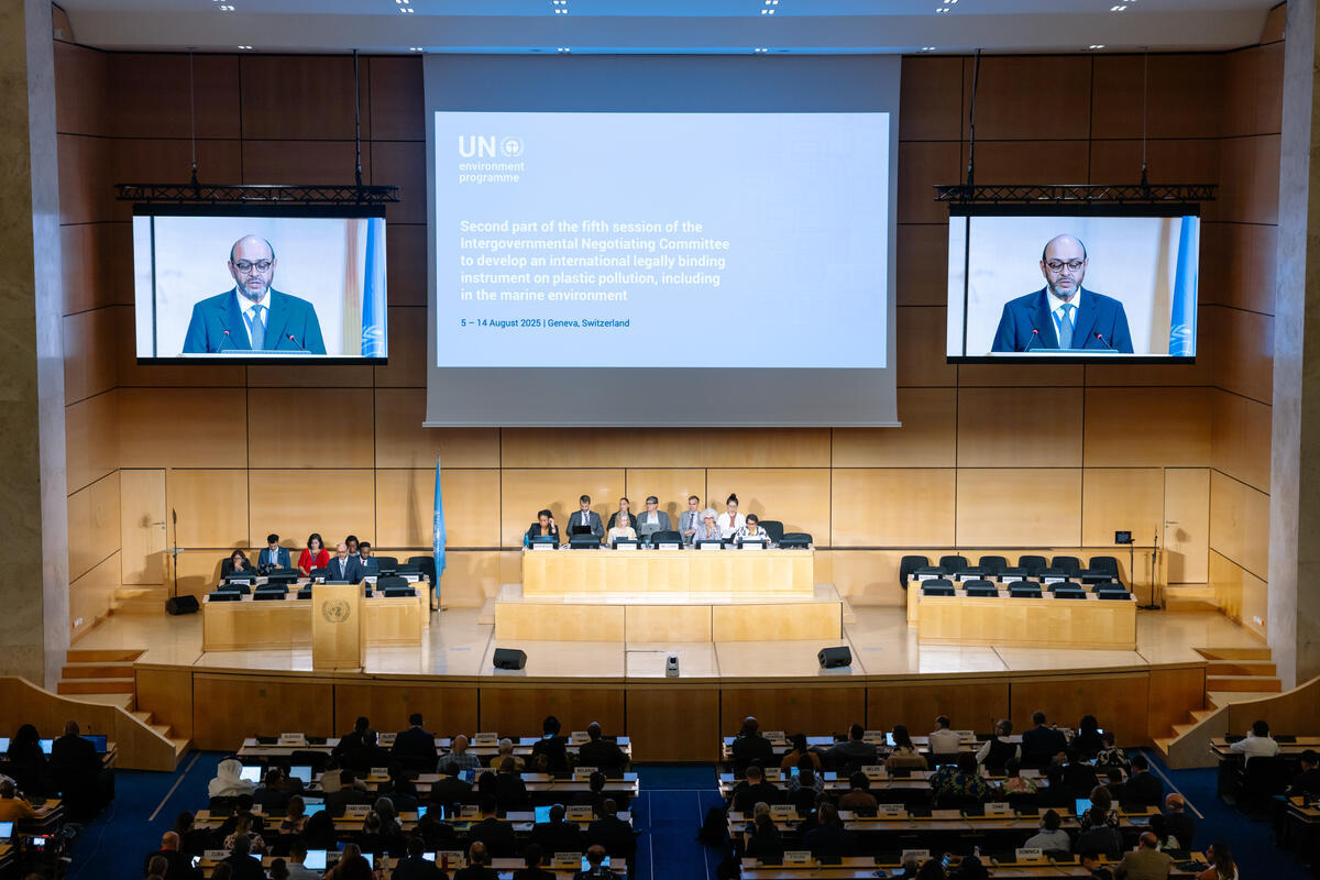Open Plenary of the INC5.2 Negotiations. © Marie Jacquemin / Greenpeace