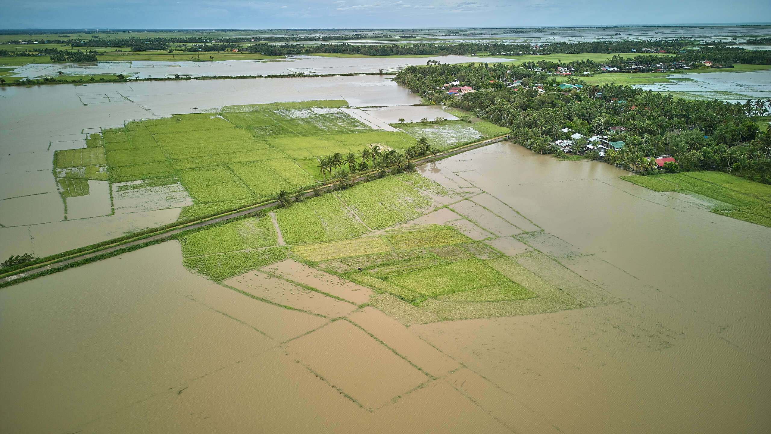 Greenpeace to Marcos: ‘Heed the demands for justice’ amid Nando, flood control scandal