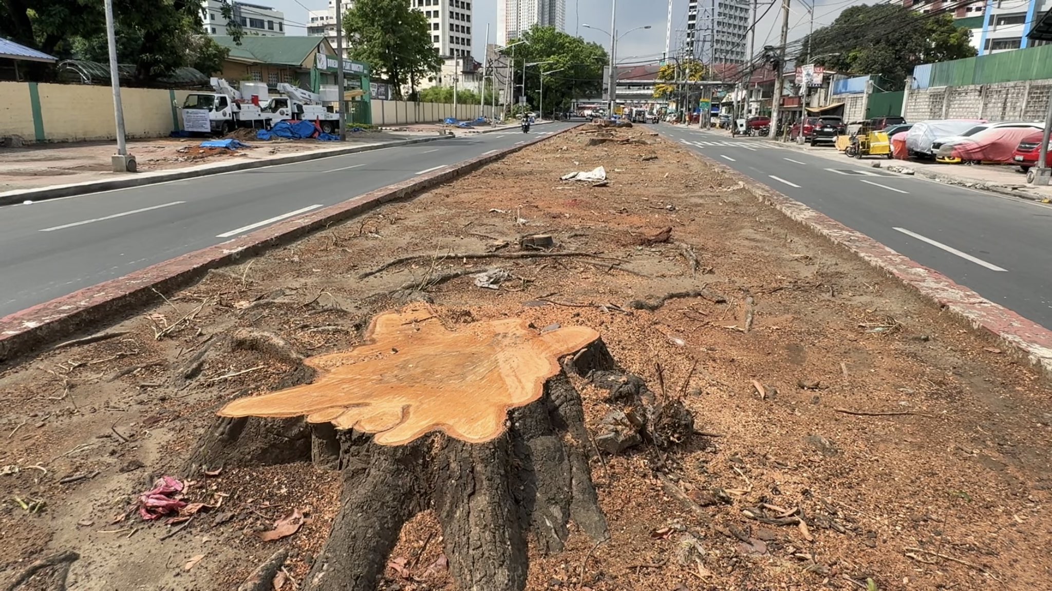 Massacre of trees under a climate crisis is not development —Greenpeace and NAPC