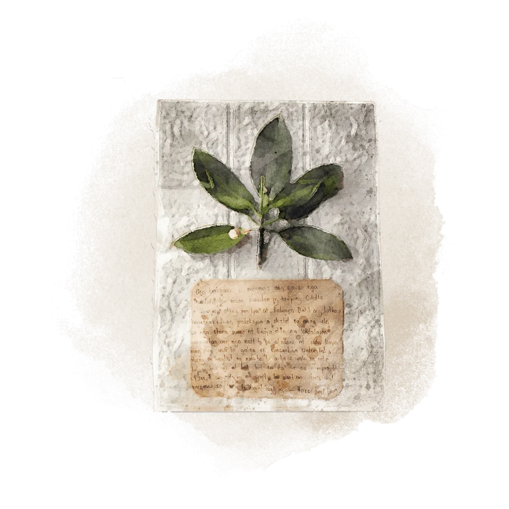 Philippines Hazel Brum Object