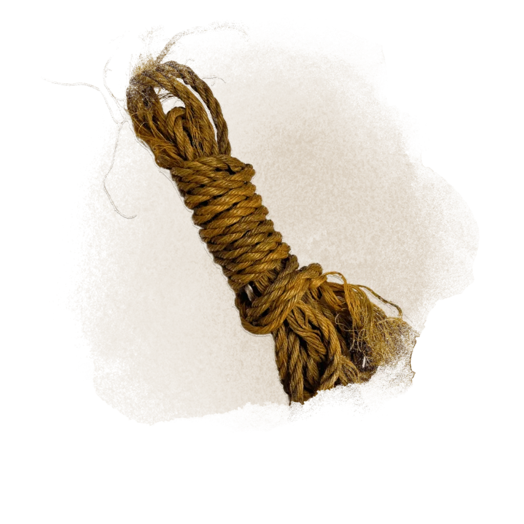 Yellow Rope Philippines
