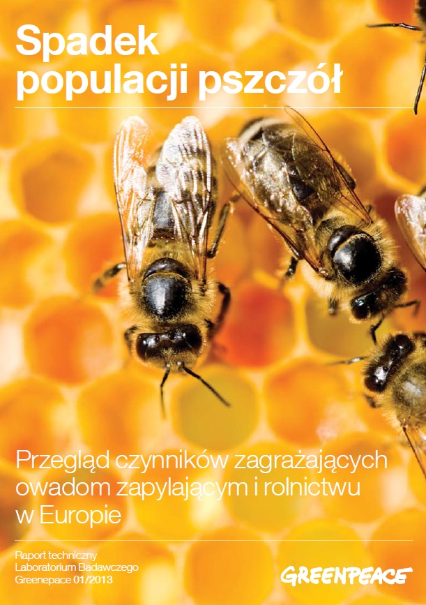 Spadek populacji pszczół - raport