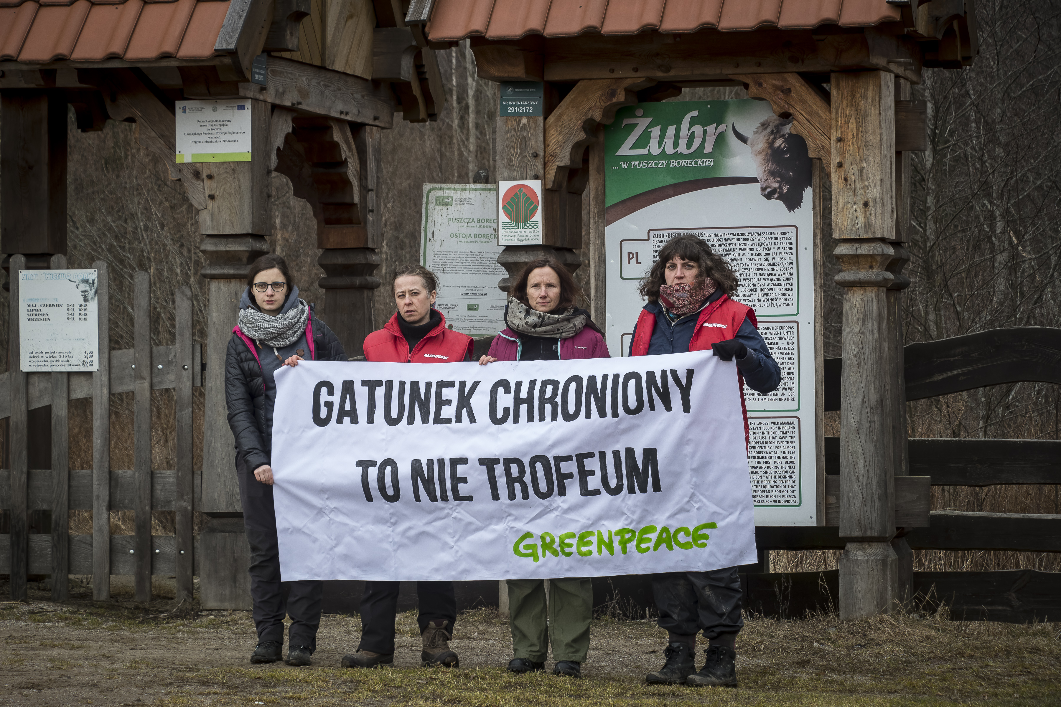 Gatunek chroniony to nie trofeum