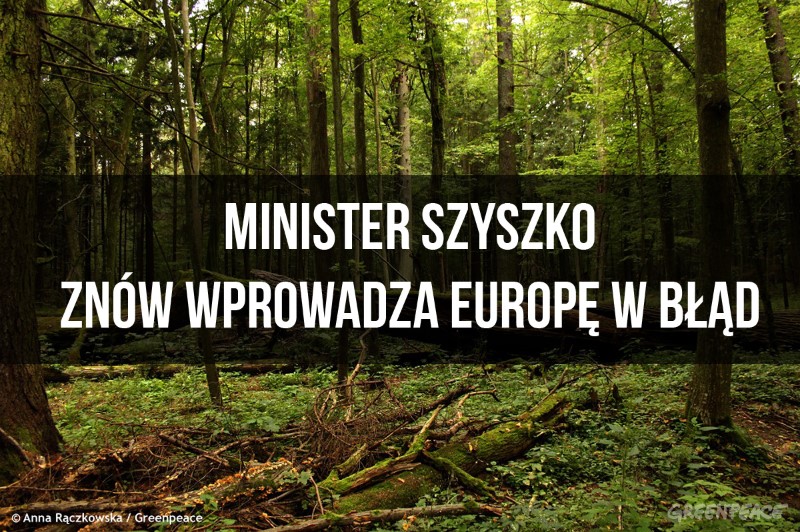 Minister Szyszko znów wprowadza Europę w błąd