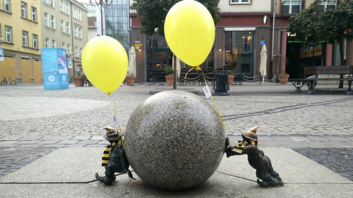 Wrocławska grupa Greenpeace zachęca do Adoptuj pszczołę