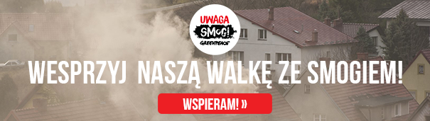 Walcz z nami o czyste powietrze. Wesprzyj kampanię!