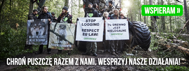 Wesprzyj nasze działania dla Puszczy