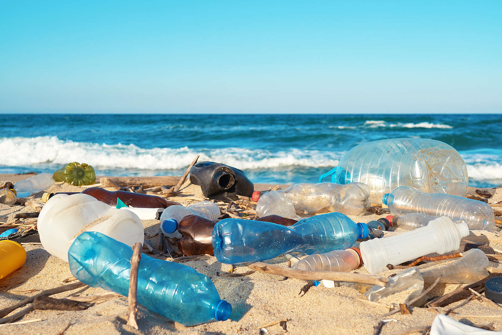 Podpisz: Zatrzymajmy falę plastiku!