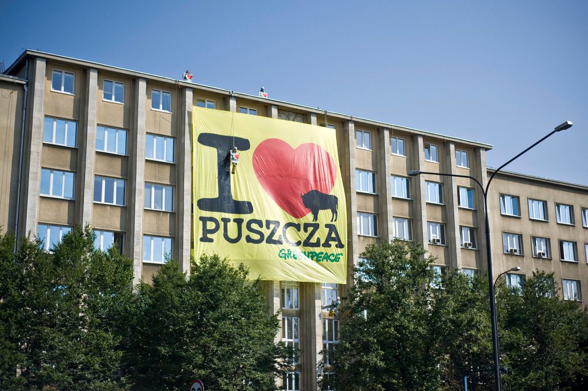 Akcja na Ministerstwie Środowiska w obronie Puszczy Białowieskiej