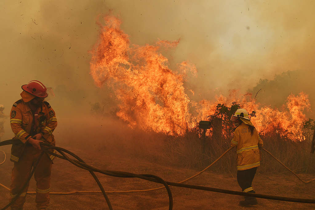 Strażacy walczący z pożarem buszu w Hillville w Australii.