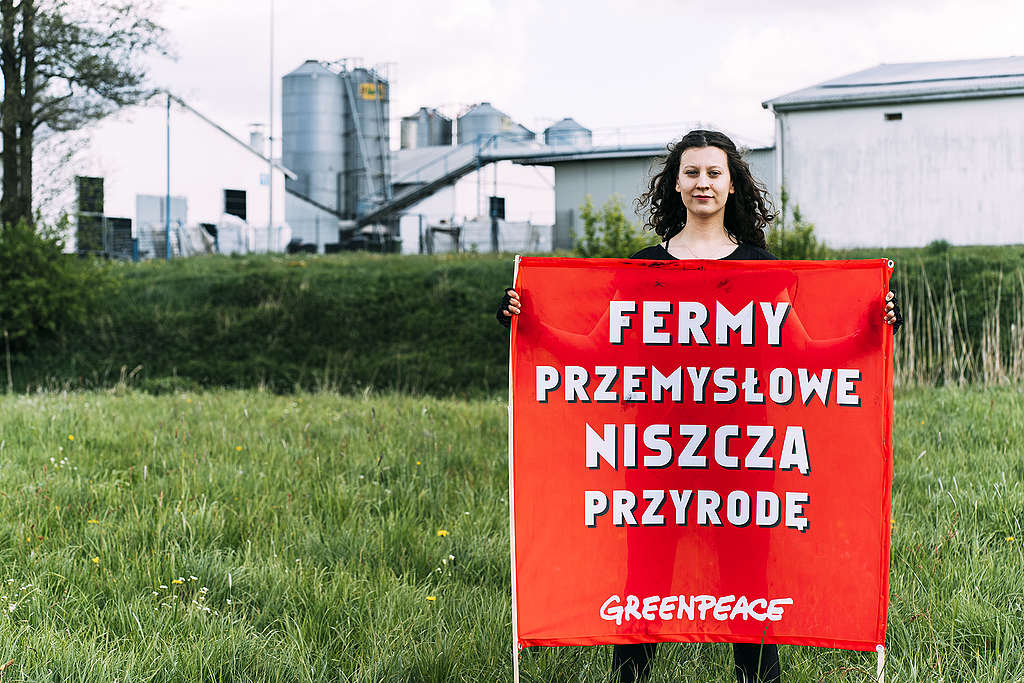 Fermy przemysłowe niszcza przyrodę Fermy przemysłowe niszcza przyrodę