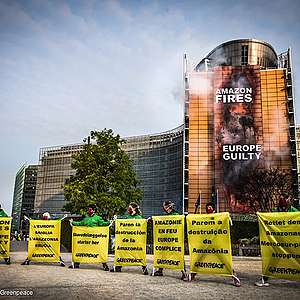 Piły łańcuchowe umilkną: UE zgadza się na prawo przeciwko wylesianiu