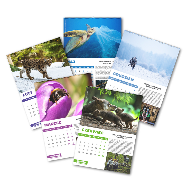 Kalendarz Greenpeace 2024 Greenpeace Polska