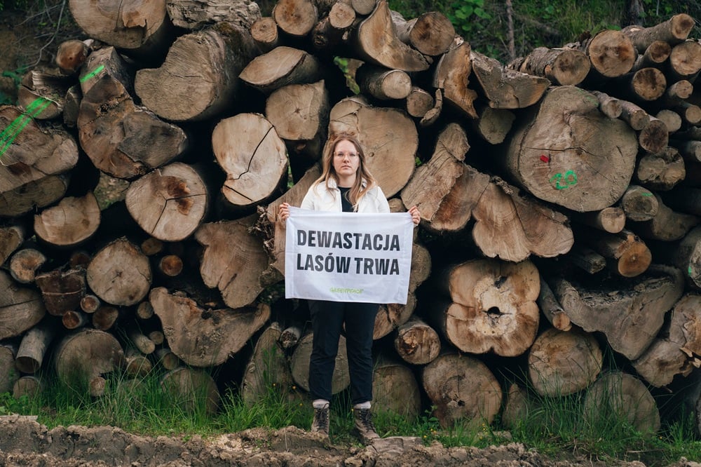 Skandaliczne plany wycinek w Bieszczadach