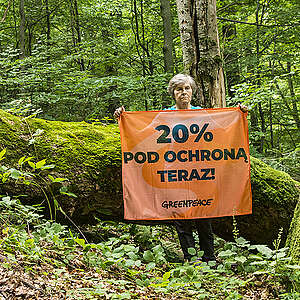 Rekonstrukcja rządu: 152 organizacje apelują o ochronę lasów