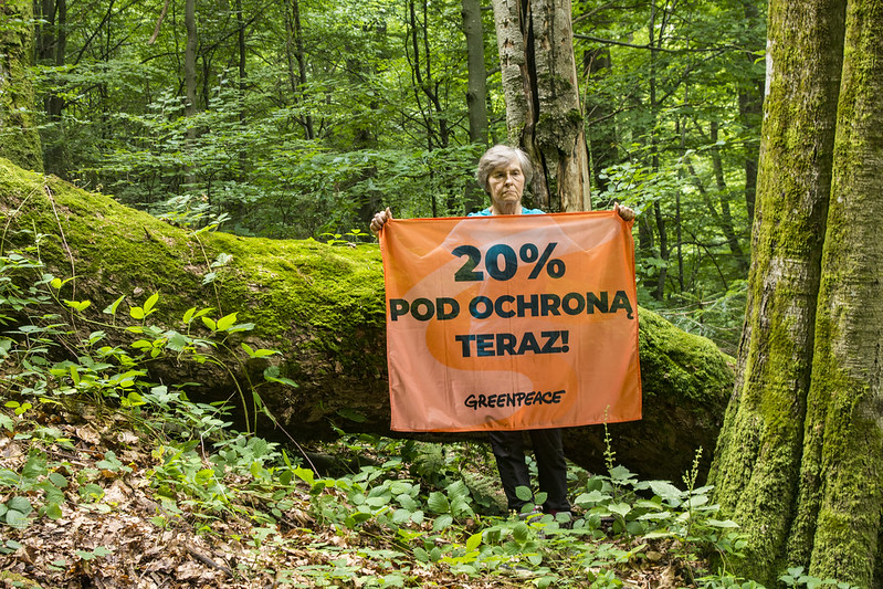 Rekonstrukcja rządu: 152 organizacje apelują o ochronę lasów