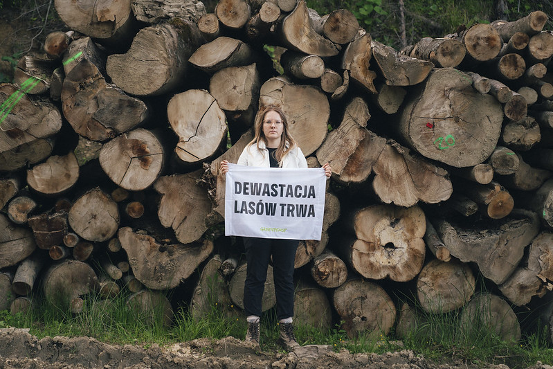 PSL i Polska 2050 chcą rozmontować ostatni mechanizm ochrony przyrody