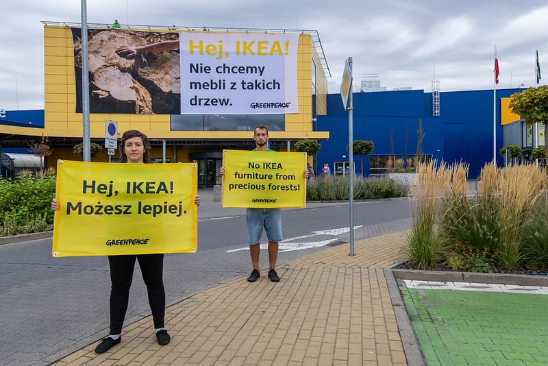 Protest pod IKEĄ przeciwko meblom z najcenniejszych karpackich lasów