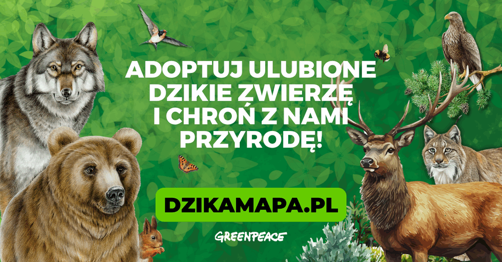 DzikaMapa.pl