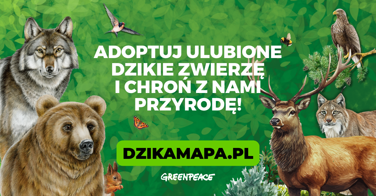 Adoptuj ulubione dzikie zwierzę