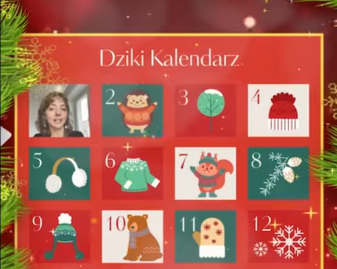 Dziki Kalendarz – dzień 1.