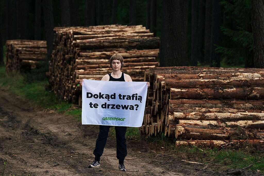 Leśne Patrole