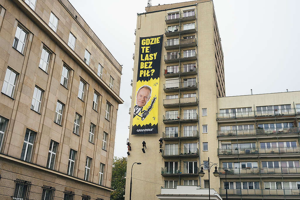 Gdzie te lasy wolny od pił? - protest aktywistów w Warszawie