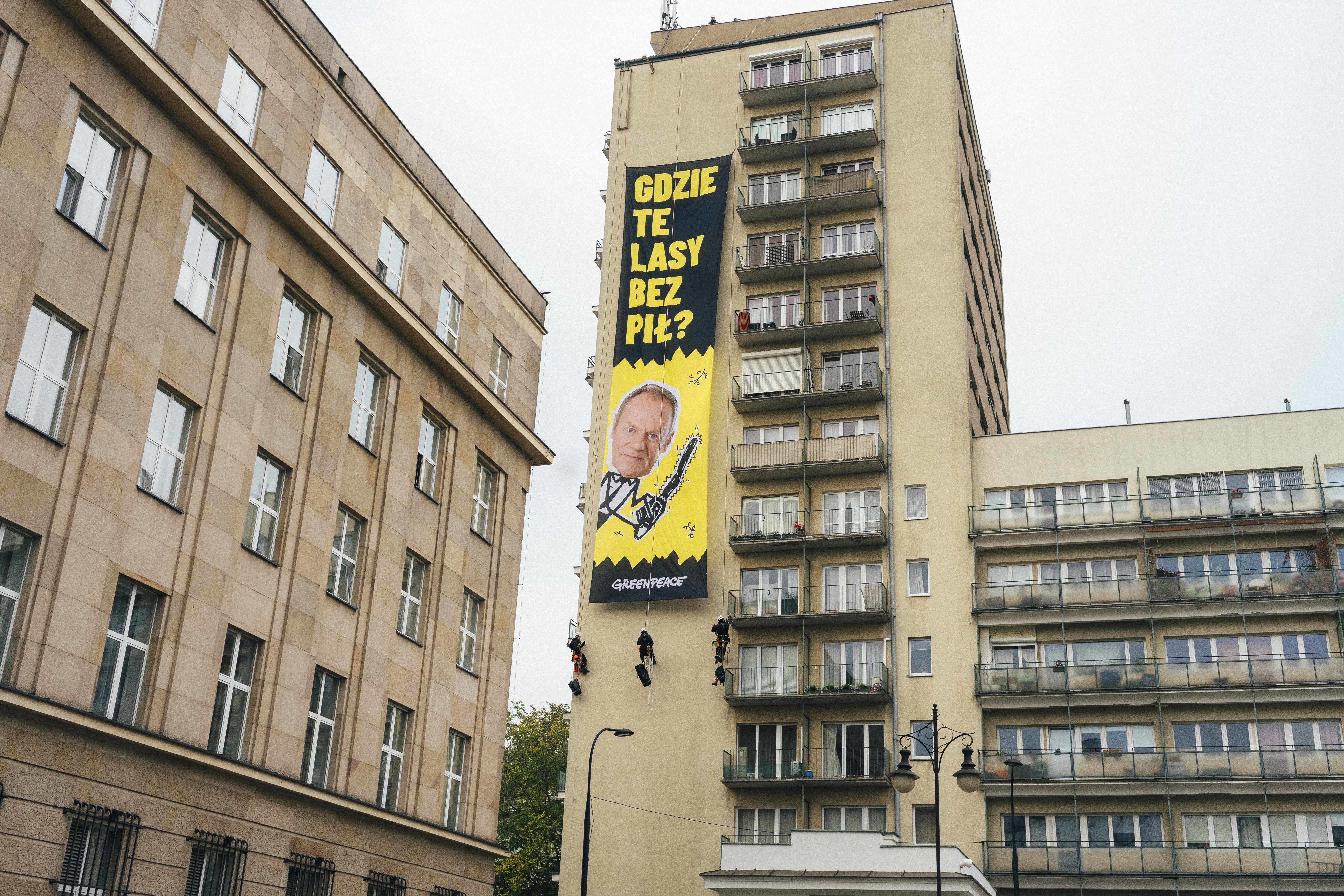 Gdzie te lasy wolny od pił? - protest aktywistów w Warszawie