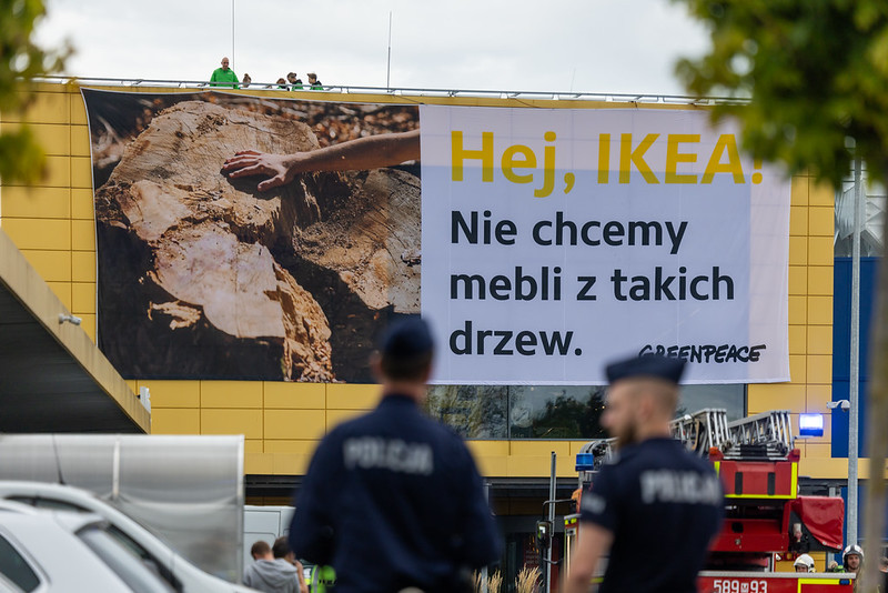 Raport Greenpeace: Apetyt Ikei na drewno powoduje niszczenie cennych lasów Europy