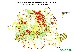 Harta suprafețelor despădurite din România - repartiția pe arii p