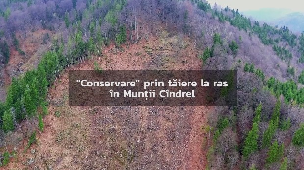 conservare prin taiere.jpg