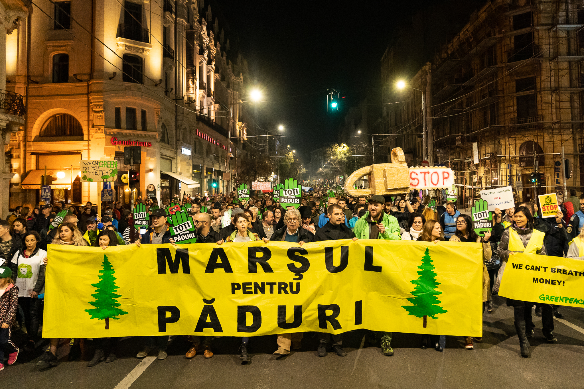 Marșul pentru păduri, noiembrie 2019