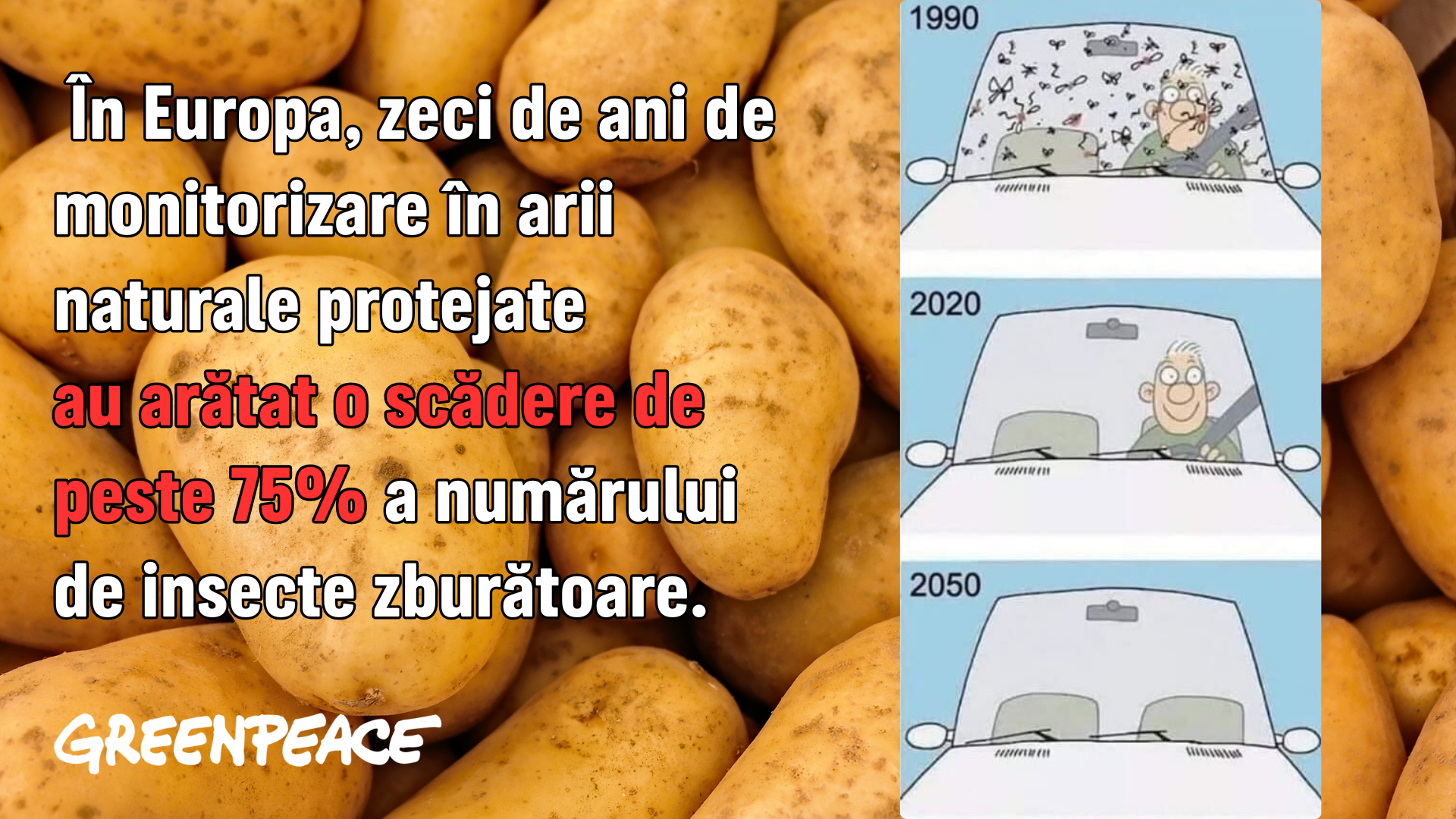 🐞De ce trebuie să îți pese de insecte🐝