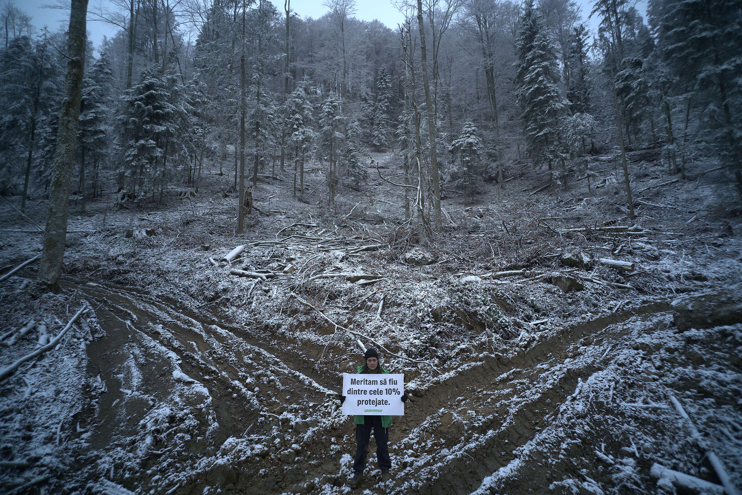 10% protecție strictă: ce se întâmplă cu cel mai mare proiect de conservare a naturii din istoria României