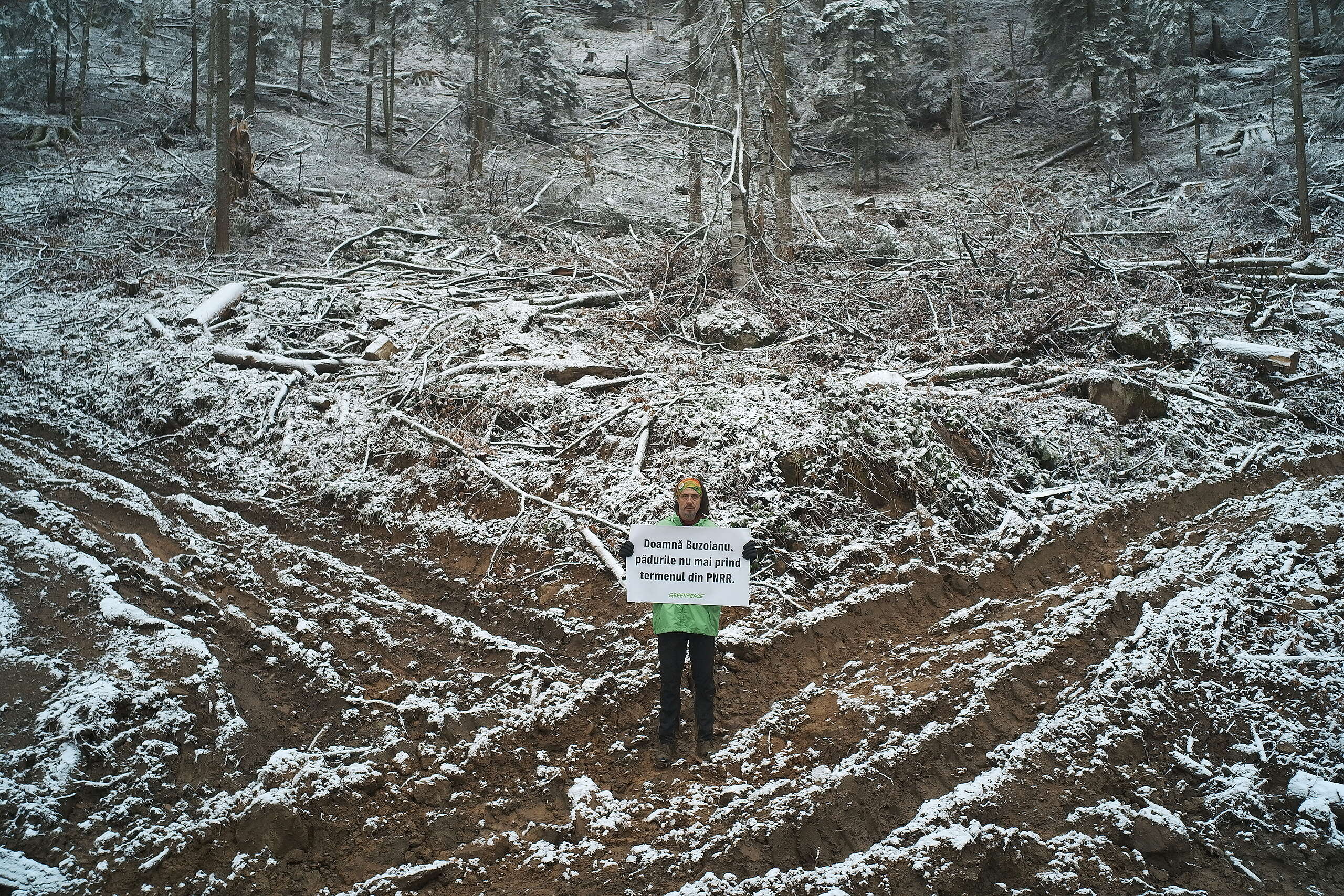 Ministra Mediului, Diana Buzoianu, încalcă legea și blochează protecția naturii: „Acordul proprietarului este o invenție pentru a evita plata compensațiilor”