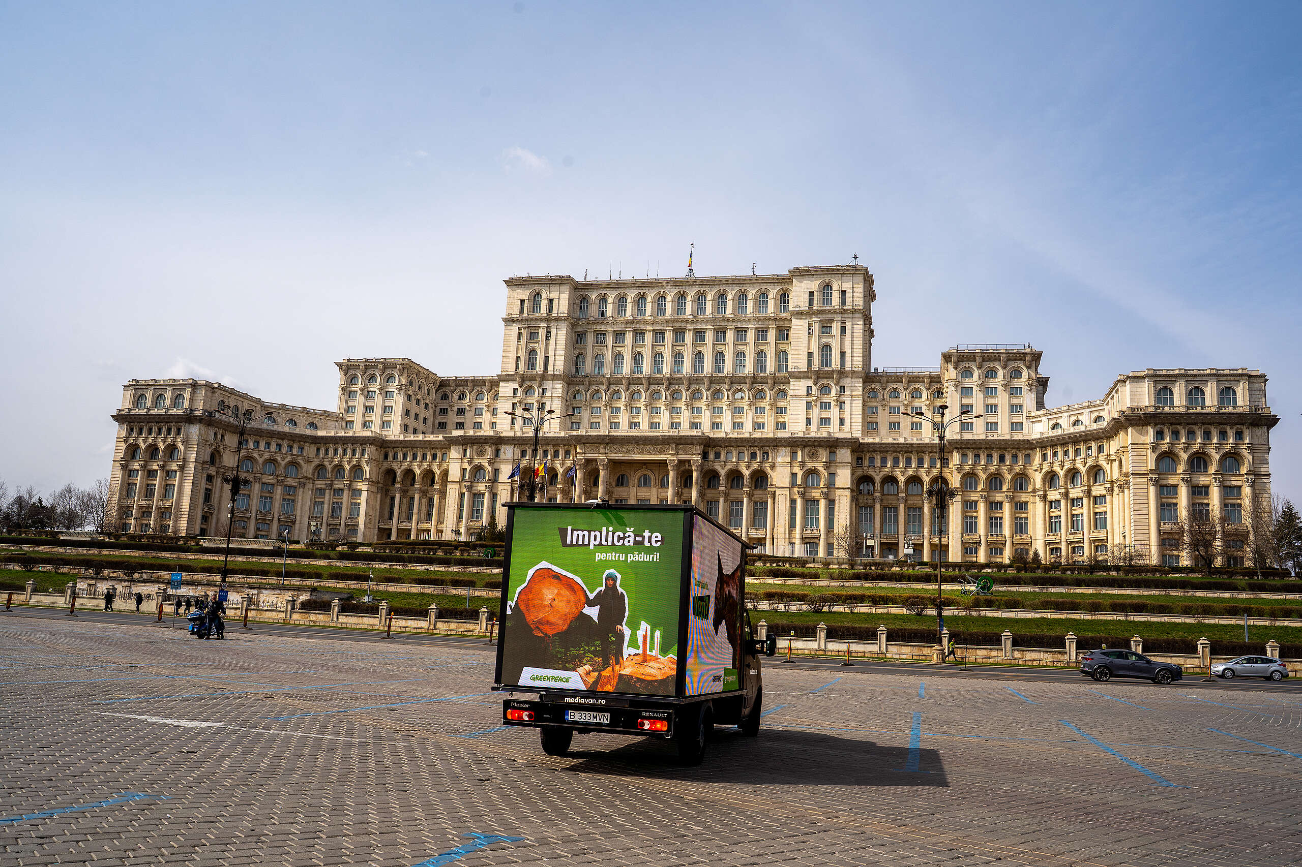 Sărbătorim Ziua internațională a Pădurilor