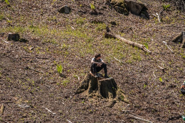 Europe’s Vanishing Forests (Part 1): How Ikea is driving forest destruction the Carpathians