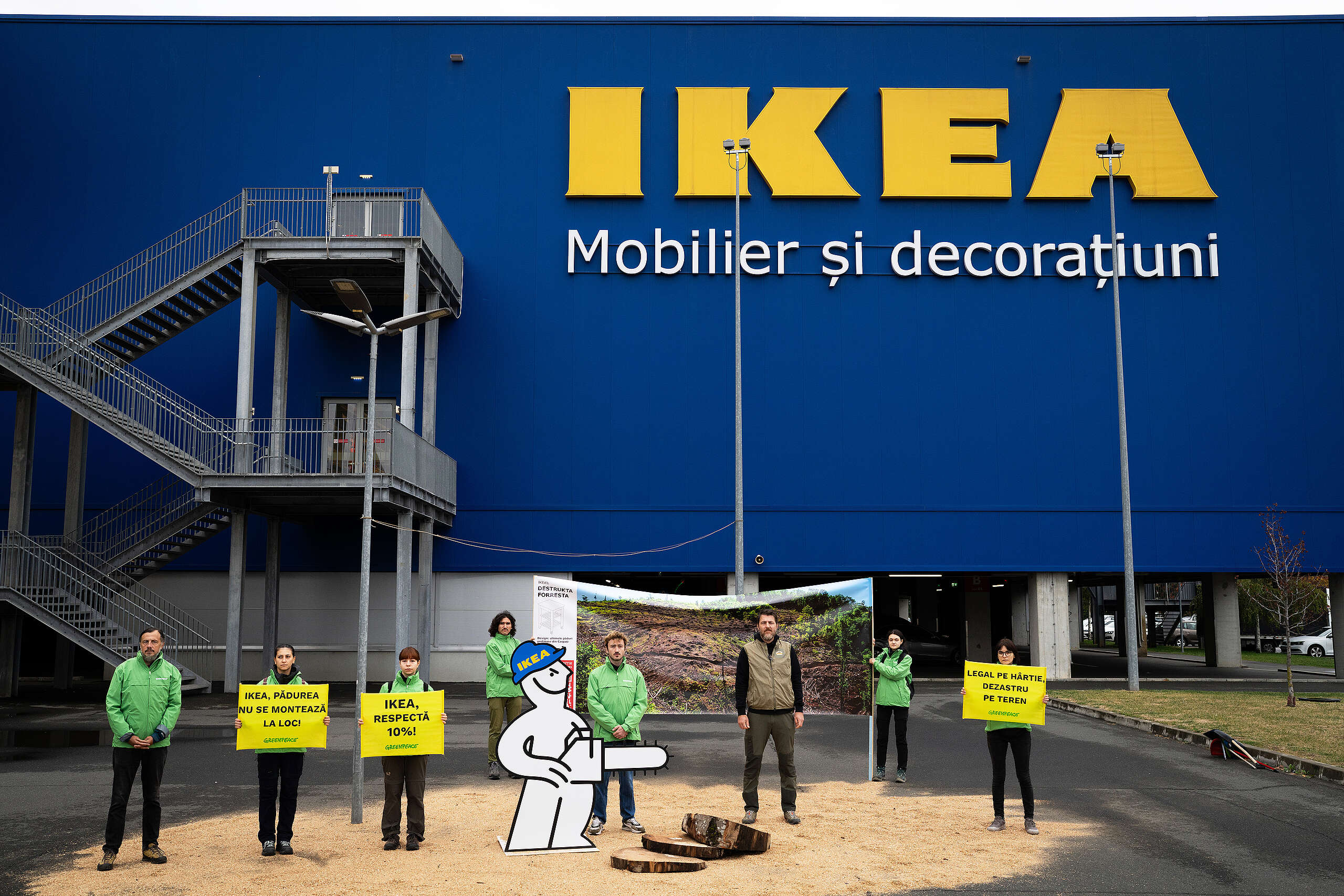 ,,Printre cioate și drujbe”: Protest Greenpeace România la Ikea și o nouă investigație cu dovezi despre distrugerea pădurilor valoroase din Carpați