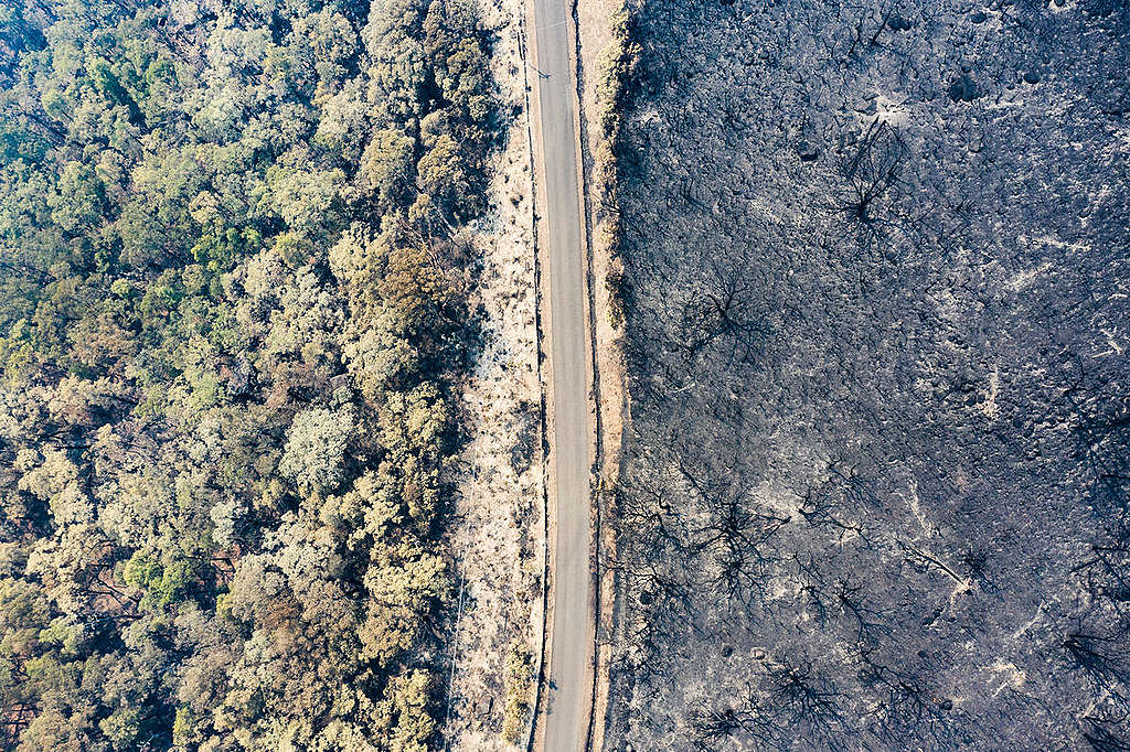 Drone still from Fires in Kangaroo Valley. © Byron Ross / Greenpeace
