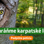 <strong>Aktivisti Greenpeace naprieč celou Európou vyzývajú politikov k novej dohode o ochrane prírody</strong>