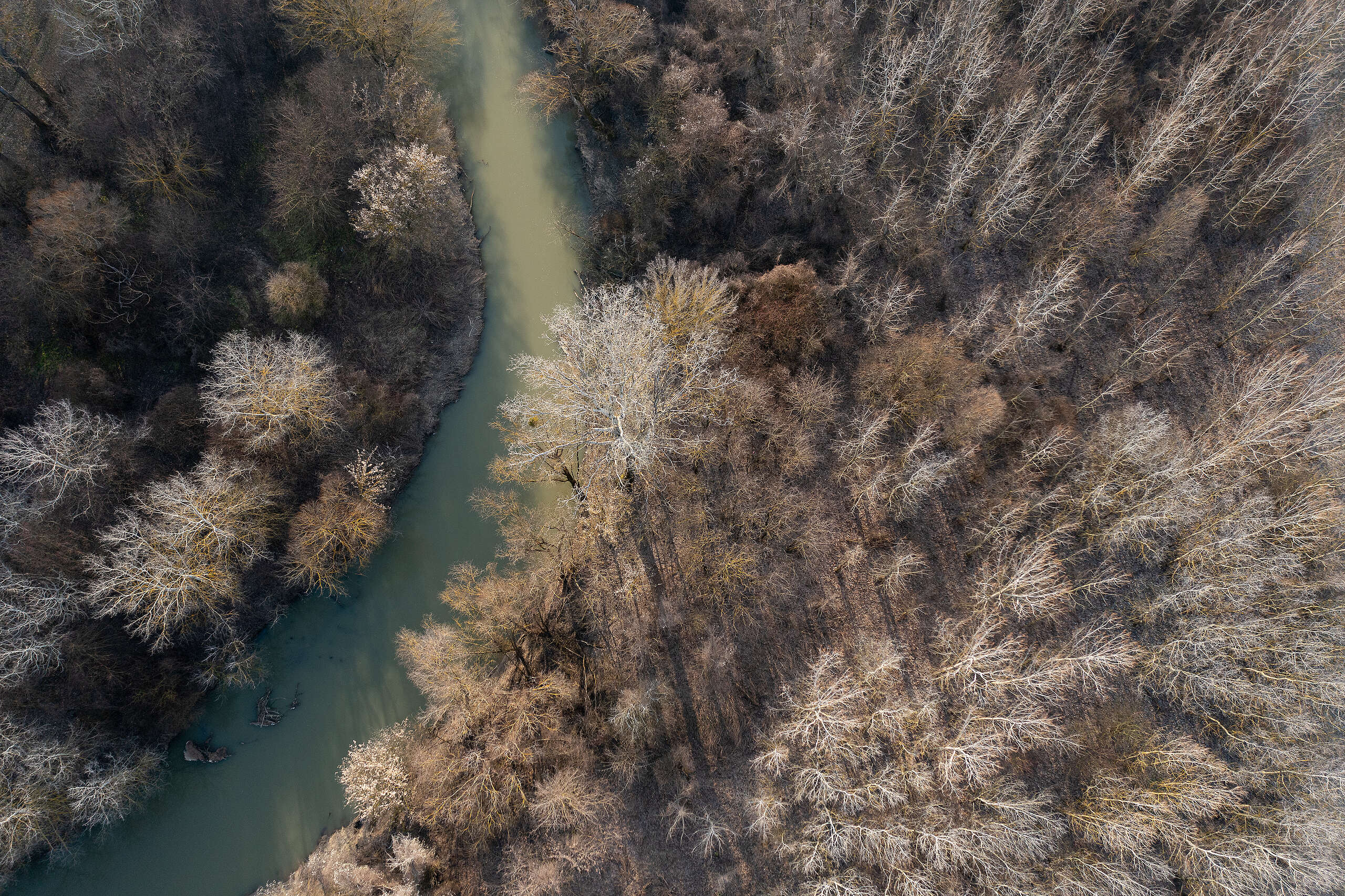 Sucho ako nový normál. Naša krajina naň však nie je pripravená, varuje Greenpeace Slovensko.