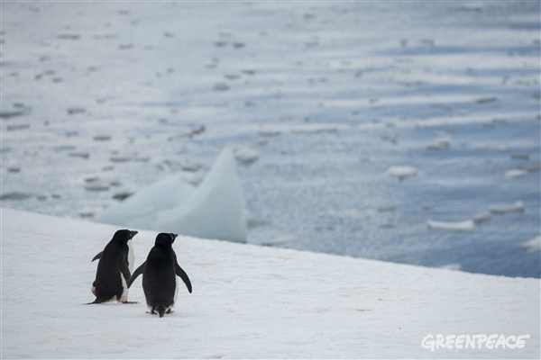 © Christian Åslund / Greenpeace