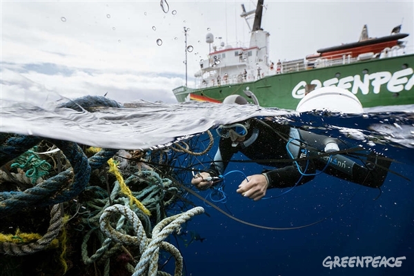 Zapuščene ribiške mreže (Justin Hofman / Greenpeac)