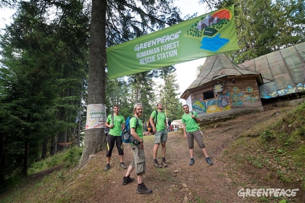 Forest rescue station, Romania. (c) D Campean / Greenpeace.