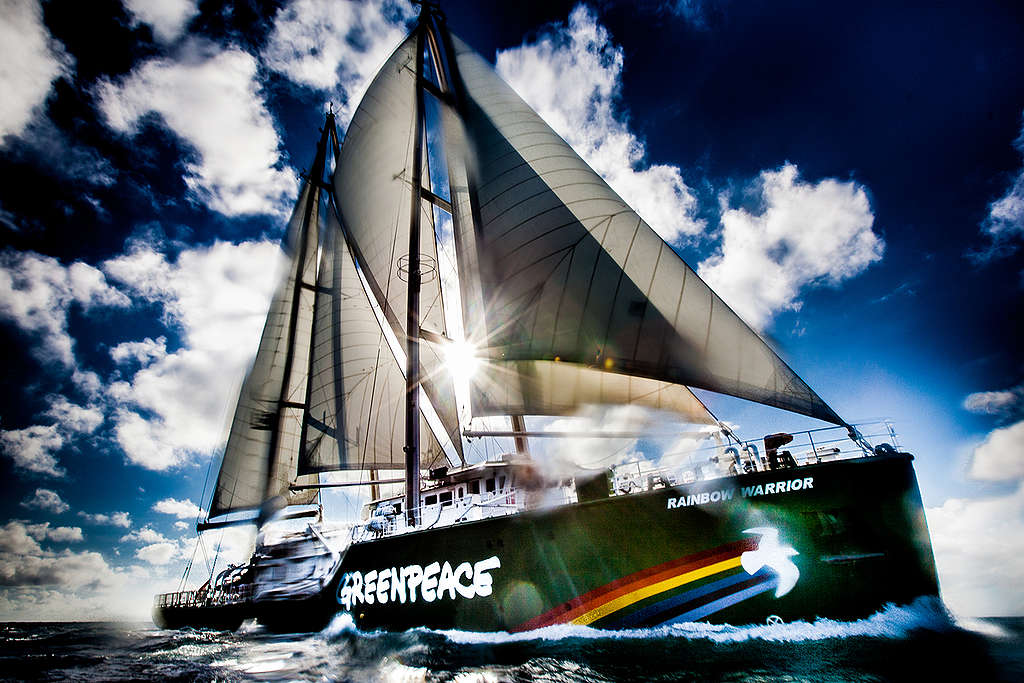 Rainbow Warrior Near the Queensland Coast. © Tom  Jefferson / Greenpeace