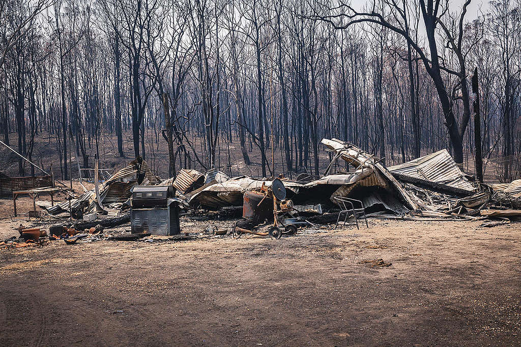 Bushfire Aftermath in Nymboida, New South Wales. © Natasha Ferguson / Greenpeace
