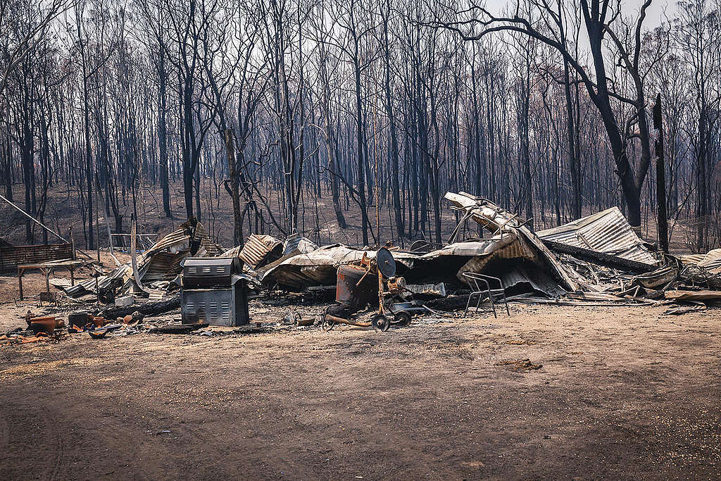 Bushfire Aftermath in Nymboida, New South Wales. © Natasha Ferguson / Greenpeace Bushfire Aftermath in Nymboida, New South Wales. © Natasha Ferguson / Greenpeace