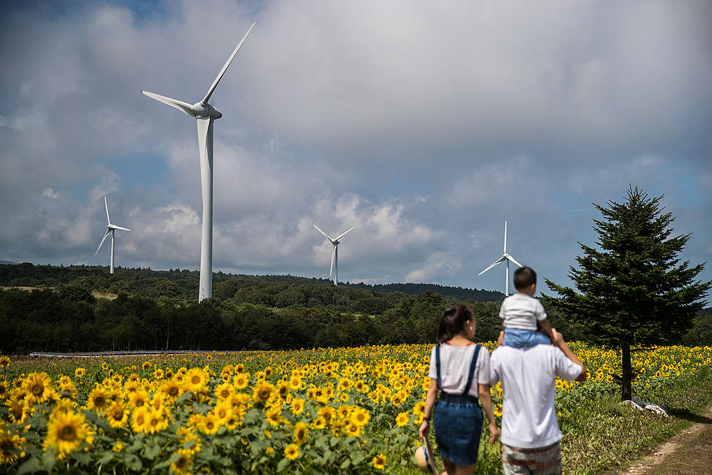 Wind Farm in Fukushima. © Guillaume Bression / Greenpeace